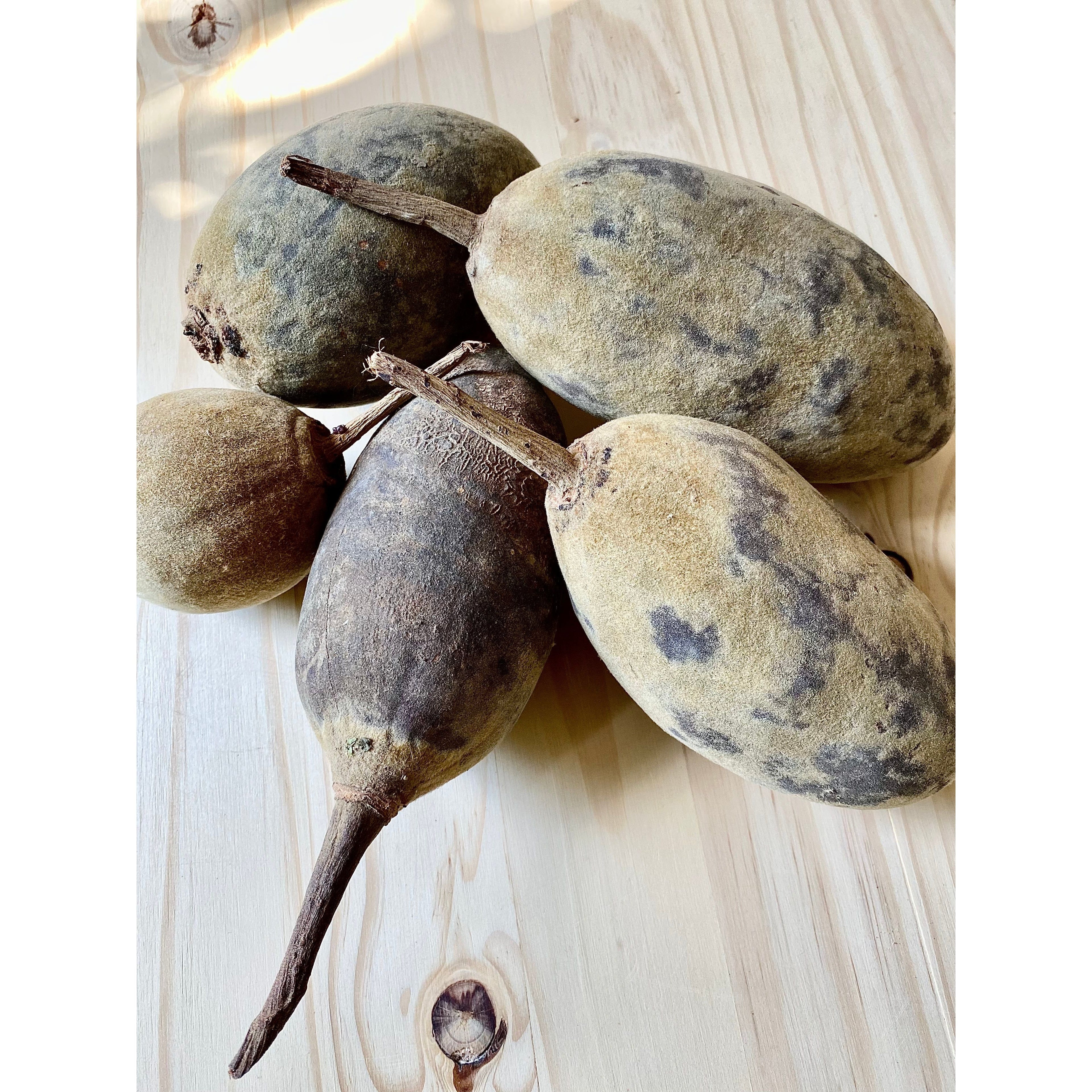 Baobab vegetable oil