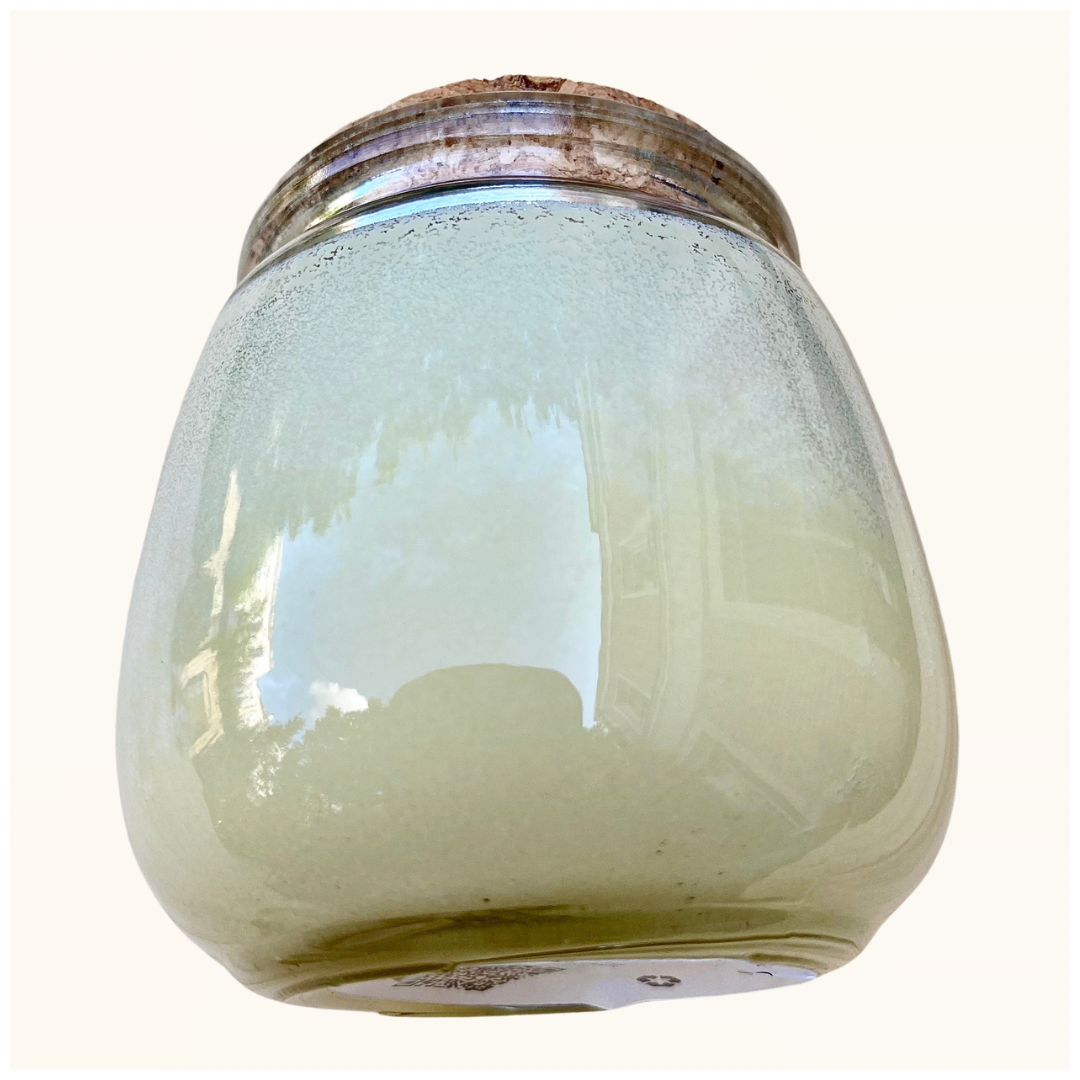 Beurre de karité pur 150g